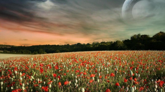 女明星陪酒真的存在吗？